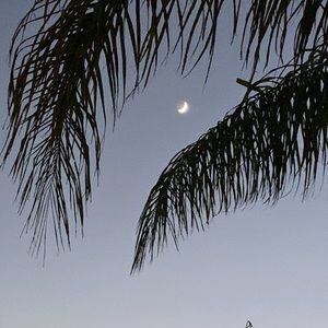 Meet your Posher, Leanne